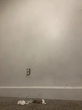 Atlantalitty online show from 01.11.25