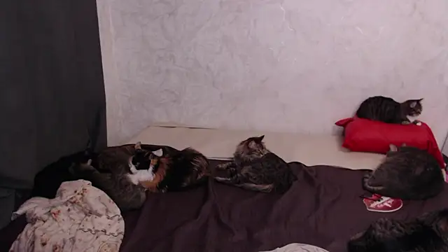 Olivia Winston online show from 02.04.26