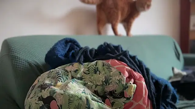 Brianjonest online show from 03.22.26