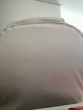 Snapshot of pamell_col chatting on 11.02.25 pamell col online show from 11.02.25