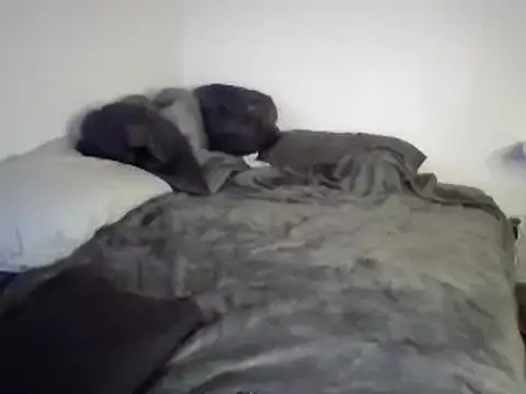 Snapshot of Iliketocooksquirt25 chatting on 03.03.25 Iliketocooksquirt25 online show from 03.03.25