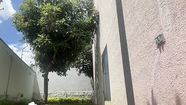 ChocolateCakeQueen online show from 11.11.25