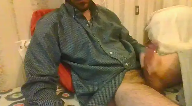 Snapshot of tozebrito_hd chatting on 02.16.25 tozebrito hd online show from 02.16.25