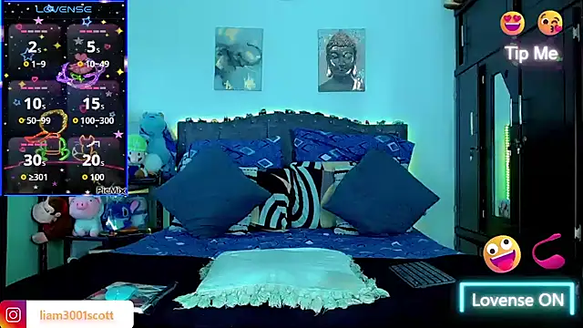 Liamscott  online show from 11.15.25