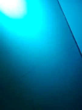 nicedicknicetats online show from 10.31.25