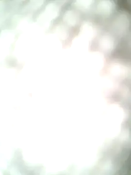 Snapshot of molozeb chatting on 10.12.25 molozeb online show from 10.12.25