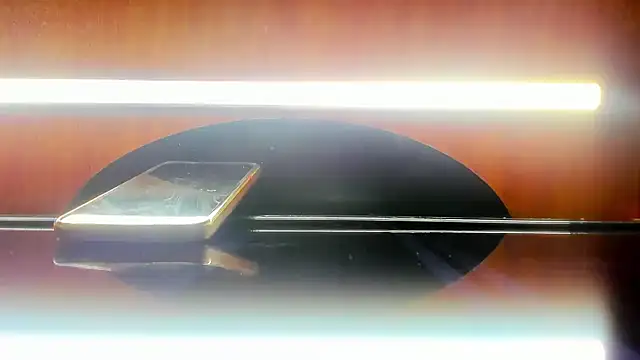 Snapshot of harly__queen chatting on 02.25.25 harly queen online show from 02.25.25