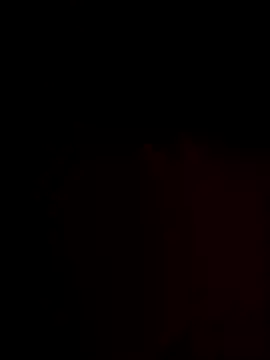 FantasticWonders9 online show from 11.25.25