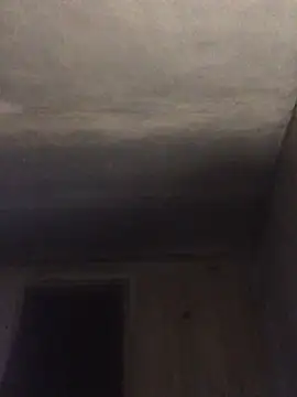 ChantalXOrchid online show from 04.15.26