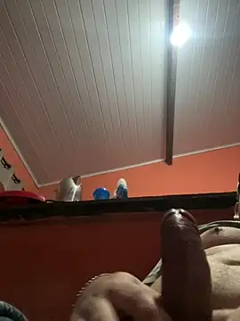 brunogordin69 online show from 09.25.25