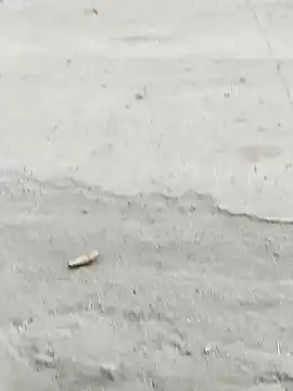 Monster Bigdick online show from 12.07.24