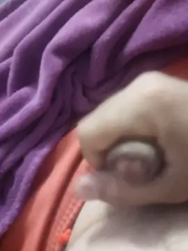 Snapshot of dredre1069 chatting on 02.02.26 dredre1069 online show from 02.02.26