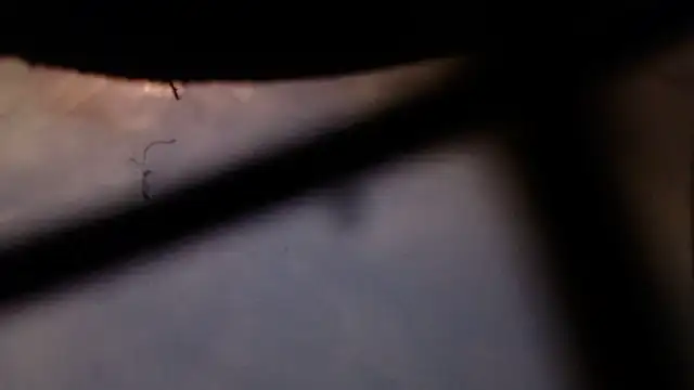 Snapshot of Cordt30 chatting on 02.12.26 Cordt30 online show from 02.12.26