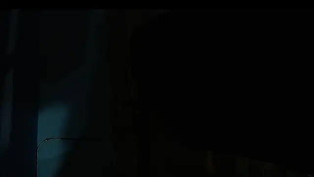 Snapshot of Tamararios chatting on 12.14.24 Tamararios online show from 12.14.24