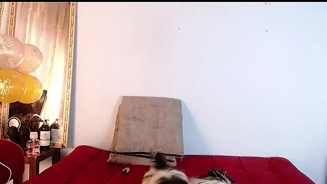 Snapshot of Tamararios chatting on 11.27.25 Tamararios online show from 11.27.25