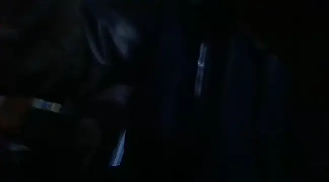 Snapshot of AlanDickson chatting on 03.17.25 AlanDickson online show from 03.17.25