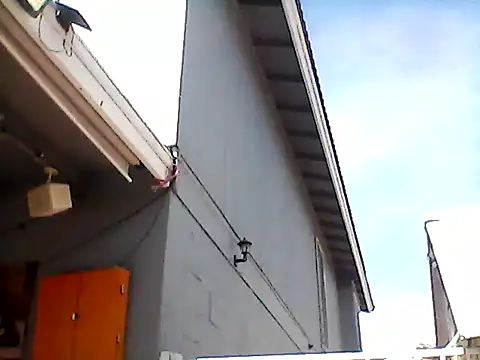 gorgeous11 online show from 02.19.25