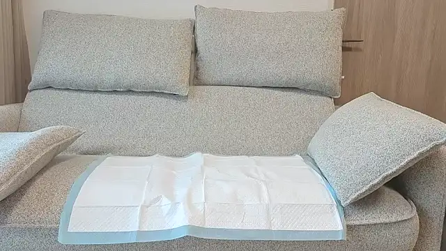 Snapshot of Ema_japanese chatting on 11.20.25 Ema japanese online show from 11.20.25