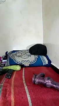 trans511 online show from 10.09.25