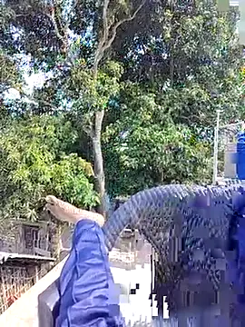 ErRakesh1 online show from 11.10.25