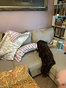 GingerSnap33 online show from 01.18.26