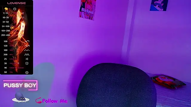 Snapshot of princeFtm chatting on 12.05.25 princeFtm online show from 12.05.25