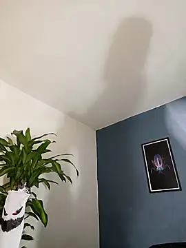 SilvaBranko online show from 11.04.25