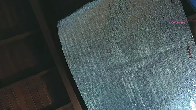 SilvaBranko online show from 04.13.26