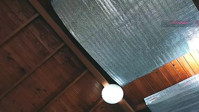 SilvaBranko online show from 04.19.26