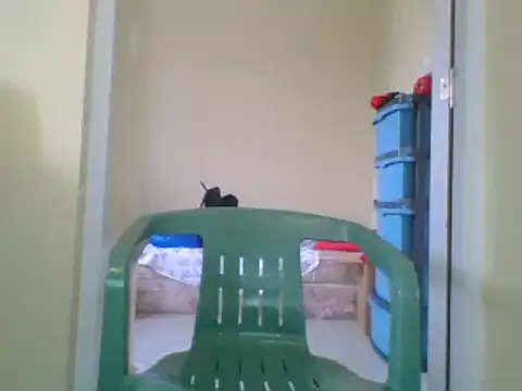 the geisha 2021k online show from 01.27.25