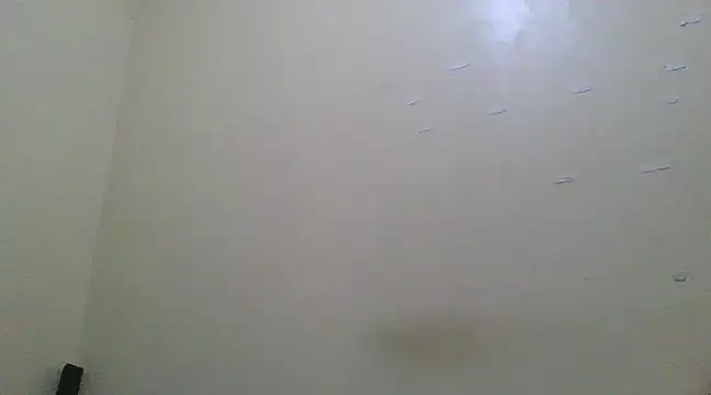 the geisha 2021k online show from 03.13.25