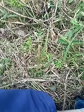 Nkumar173 online show from 11.08.25