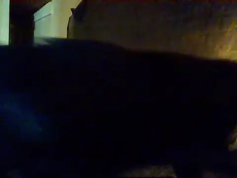 Snapshot of Nightshade7712 chatting on 09.16.25 Nightshade7712 online show from 09.16.25
