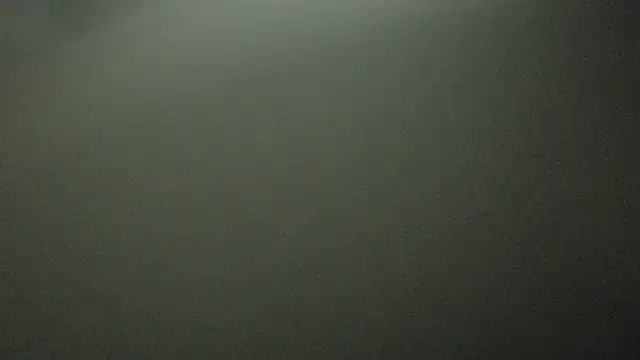 Armyexhibitionistvet online show from 10.03.25