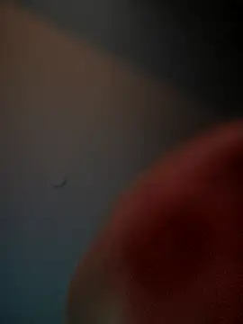 Snapshot of lolabun247 chatting on 11.02.25 lolabun247 online show from 11.02.25