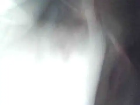 technodotado online show from 04.23.26