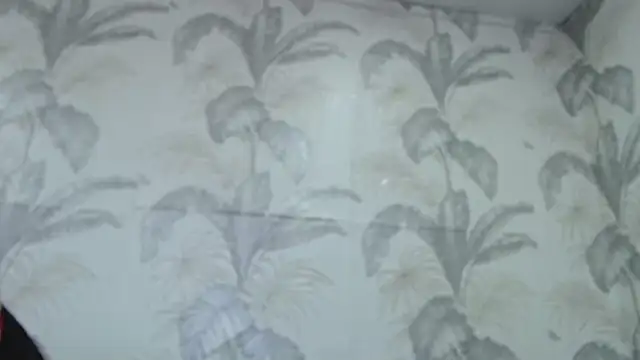 Snapshot of CamDiva113 chatting on 02.08.25 CamDiva113 online show from 02.08.25