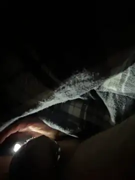 Shyboy817 online show from 03.11.26