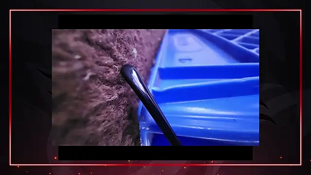 AriellaTaylor online show from 12.11.24