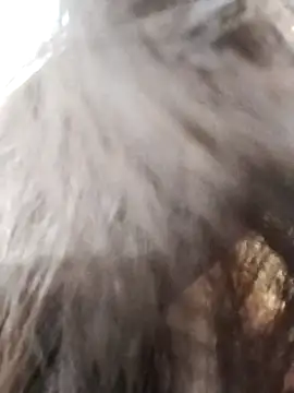 Kiritika 1 online show from 03.25.26