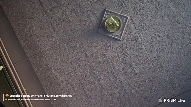 Snapshot of _Hocthus_ chatting on 03.17.25 Hocthus online show from 03.17.25