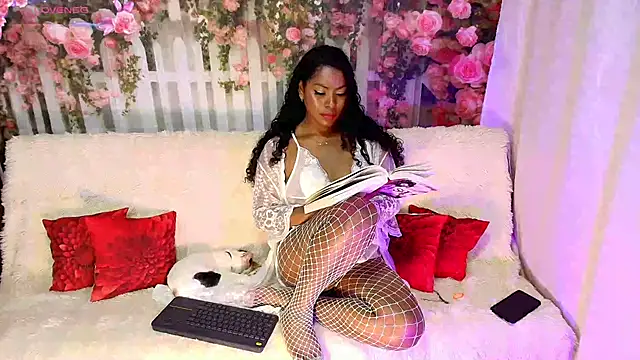 PaoL22 online show from 02.20.26