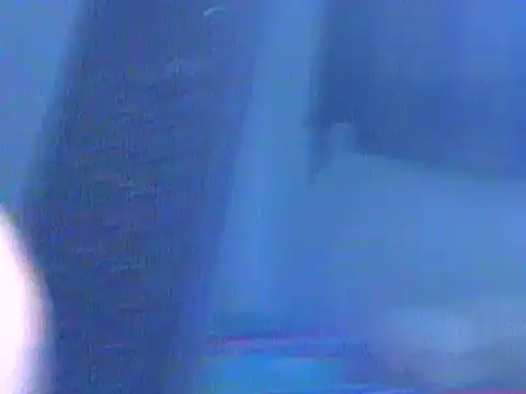 Ian zaenzz online show from 12.07.24