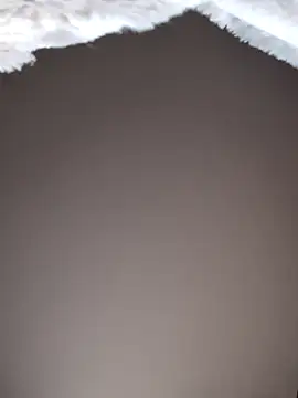 Snapshot of No-ties-fk chatting on 02.08.26 No-ties-fk online show from 02.08.26