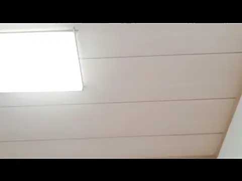 xxArisaxx online show from 11.29.25