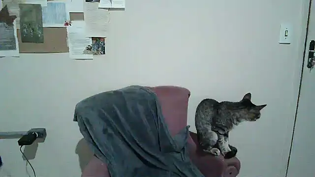 bbyedarling online show from 11.06.25