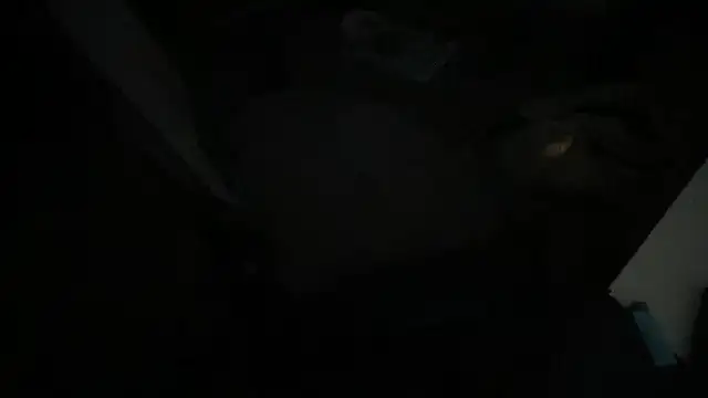 gentlewave90 online show from 01.26.25