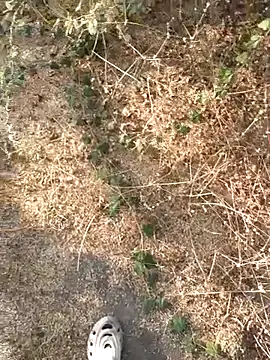 Snapshot of Ajith_mvi chatting on 03.21.26 Ajith mvi online show from 03.21.26