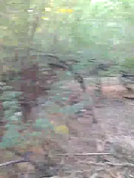 Snapshot of Ajith_mvi chatting on 03.29.26 Ajith mvi online show from 03.29.26