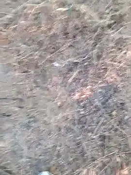 Snapshot of Ajith_mvi chatting on 04.06.26 Ajith mvi online show from 04.06.26